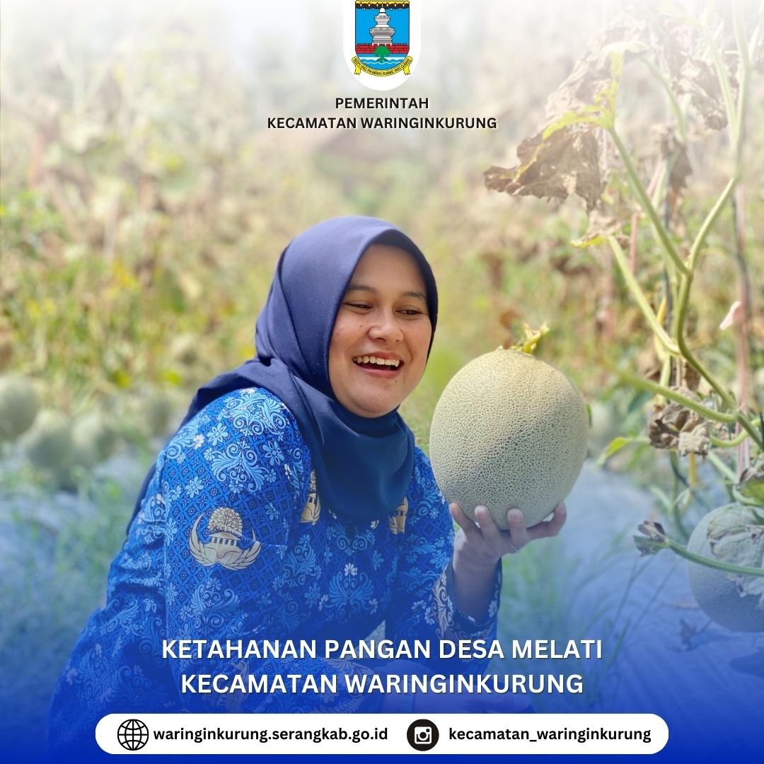 ketahanan-pangan-melon-desa-melati-kecamatan-waringinkurung